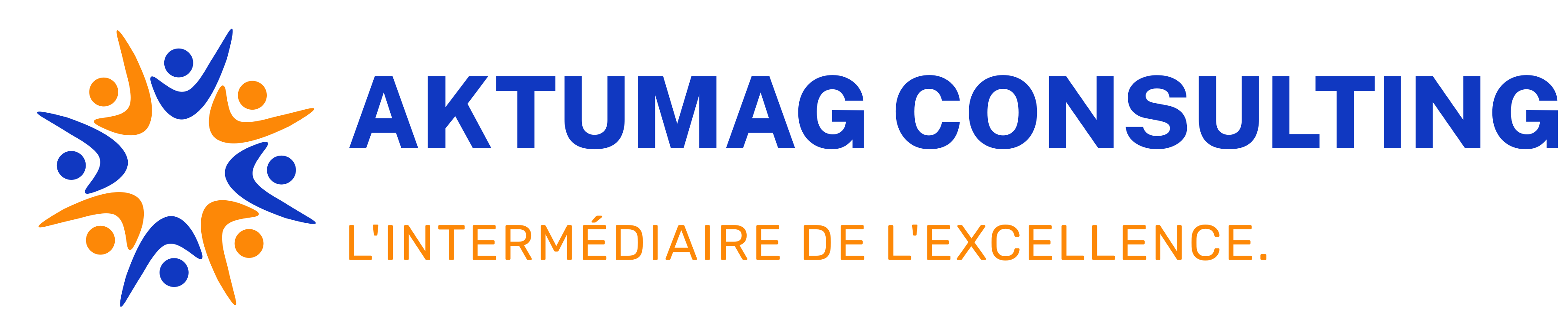 Aktumag Consulting - consulting en Tunisie